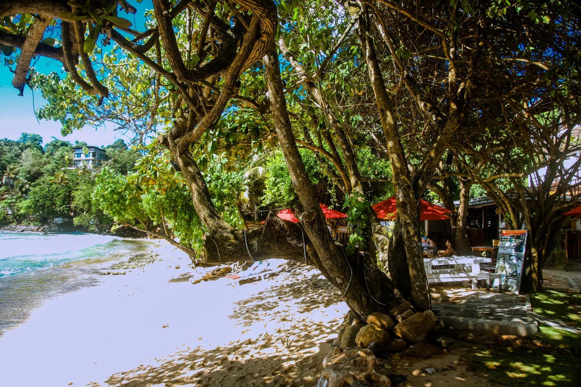 Surf Sea Breeze Hotel Mirissa Exterior foto