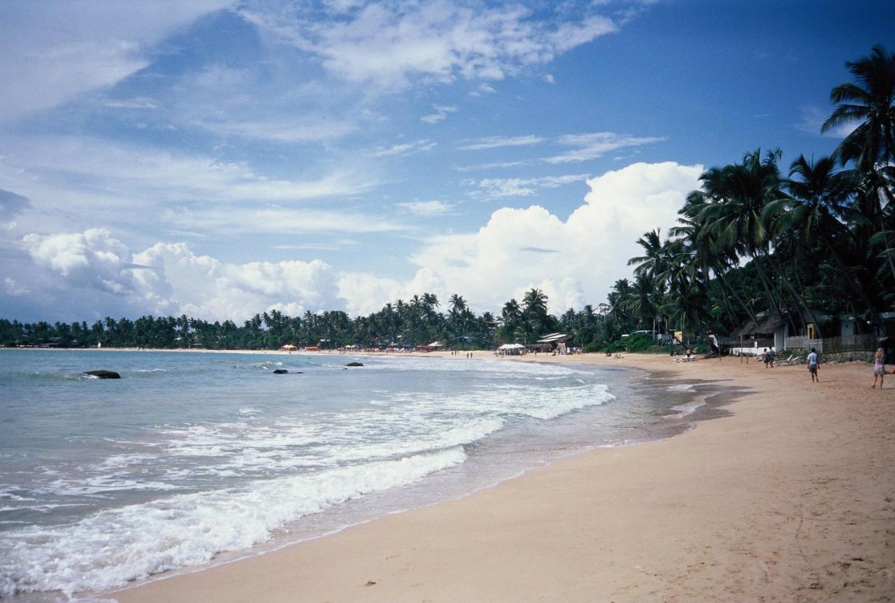 Surf Sea Breeze Hotel Mirissa Exterior foto